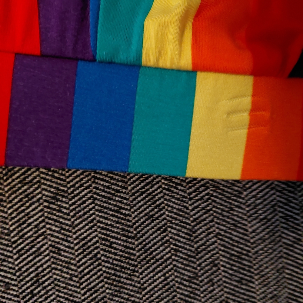 Torrid Rainbow Pride Striped Super Soft Knit Skirt, Shorts, Skort with pockets - Picture 13 of 16